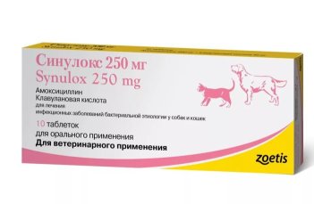 Синулокс 250мг, 10 таб.