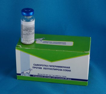 Сыворотка гипериммунная против лептоспироза 1фл.5д