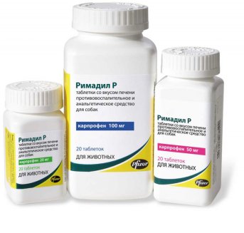 Римадил Р 20мг, №20 вкус печени