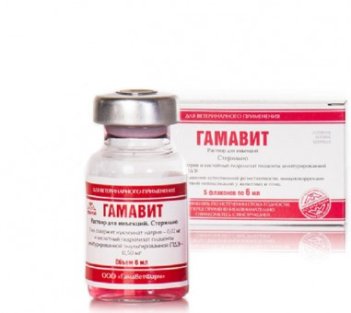 Гамавит, 6 мл