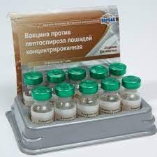 Вакцина против лептоспироза лошадей концентрированная 1д.