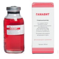 Гамавит 100 мл