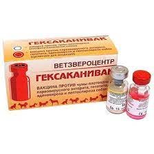 Гексаканивак 1д.