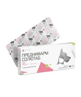 Преднифарм Солютаб 16 мг, 20 табл