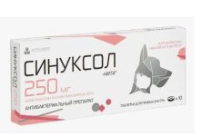 СИНУКСОЛ-НИТА 250 мг уп.10 табл.