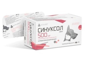 СИНУКСОЛ-НИТА 500 мг уп.10 табл.