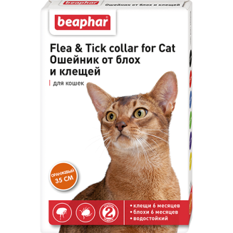 Ошейник от блох для кошек оранжевый (New)